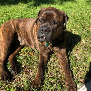 Meet your Posher, Nora